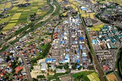 Arai Plant