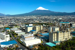 Fuji Plant