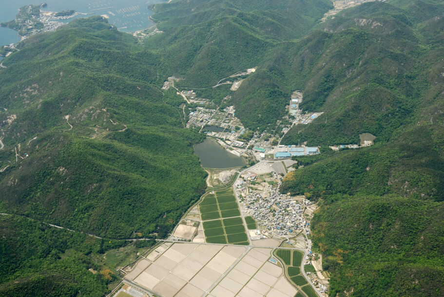 DSS (Japan)