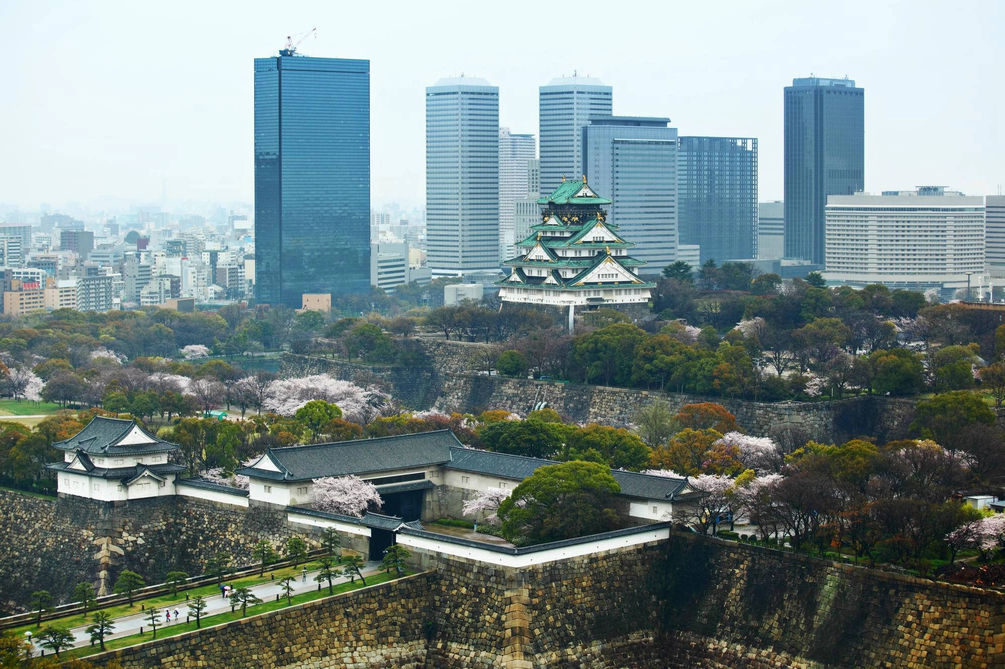 Business Locations (Japan）